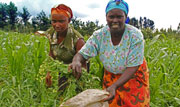 feature-img-kenya-female-farmers
